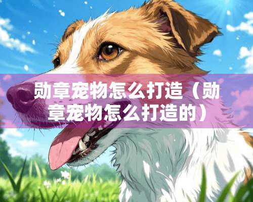 勋章宠物怎么打造（勋章宠物怎么打造的）