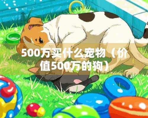 500万买什么宠物（价值500万的狗）