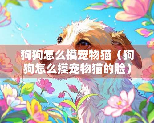 狗狗怎么摸宠物猫（狗狗怎么摸宠物猫的脸）