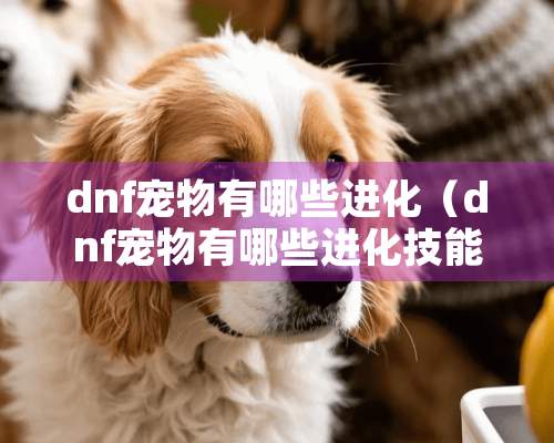 dnf宠物有哪些进化（dnf宠物有哪些进化技能）