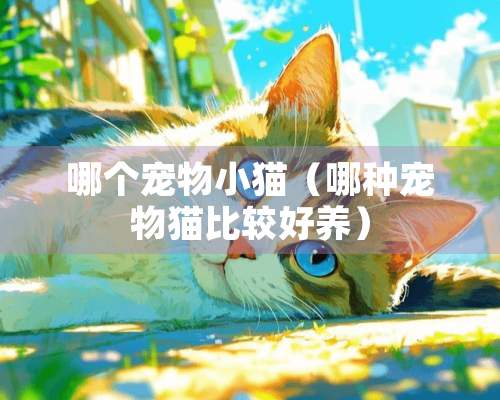 哪个宠物小猫（哪种宠物猫比较好养）