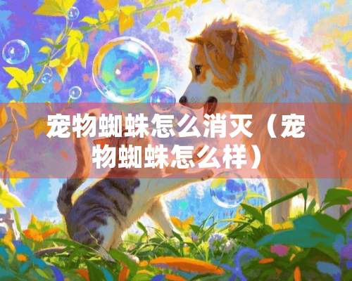 宠物蜘蛛怎么消灭（宠物蜘蛛怎么样）