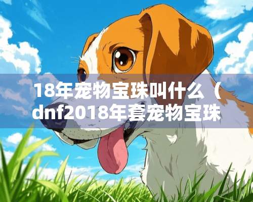 18年宠物宝珠叫什么（dnf2018年套宠物宝珠叫什么）