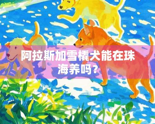 阿拉斯加雪橇犬能在珠海养吗？