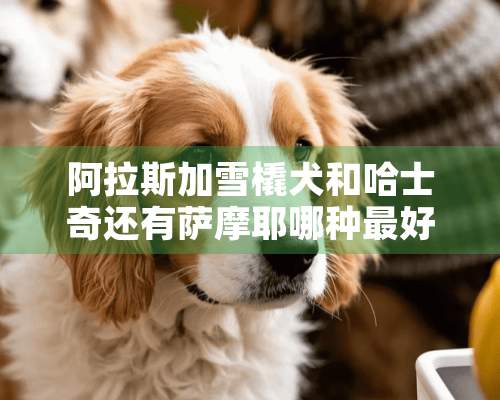 阿拉斯加雪橇犬和哈士奇还有萨摩耶哪种最好养