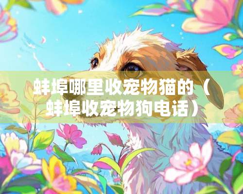 蚌埠哪里收宠物猫的（蚌埠收宠物狗电话）