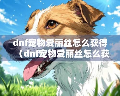 dnf宠物爱丽丝怎么获得（dnf宠物爱丽丝怎么获得技能）