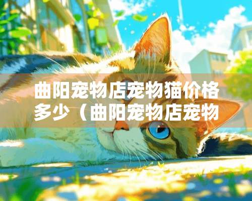 曲阳宠物店宠物猫价格多少（曲阳宠物店宠物猫价格多少钱）