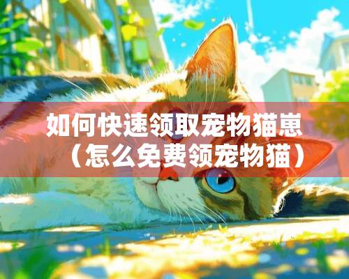 如何快速领取宠物猫崽（怎么免费领宠物猫）