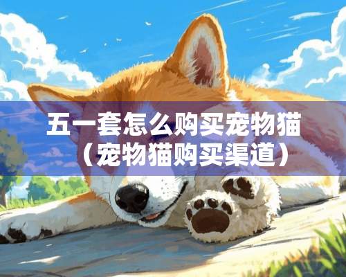 五一套怎么购买宠物猫（宠物猫购买渠道）