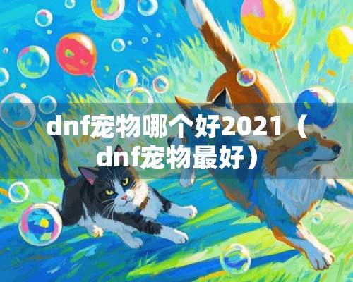 dnf宠物哪个好2021（dnf宠物最好）