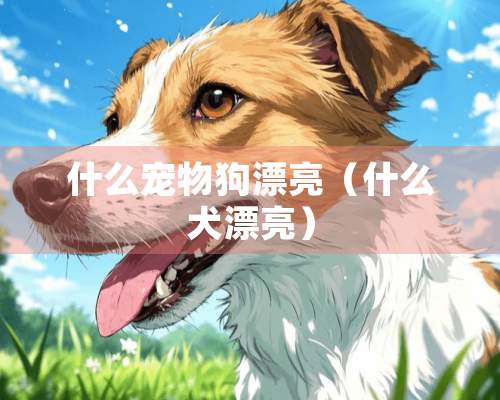 什么宠物狗漂亮（什么犬漂亮）