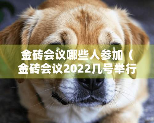 金砖会议哪些人参加（金砖会议2022几号举行）