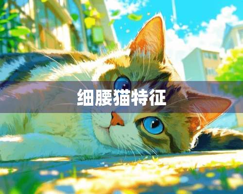 细腰猫特征