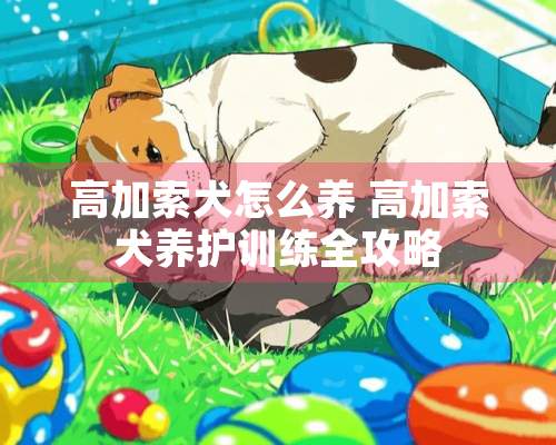 高加索犬怎么养 高加索犬养护训练全攻略