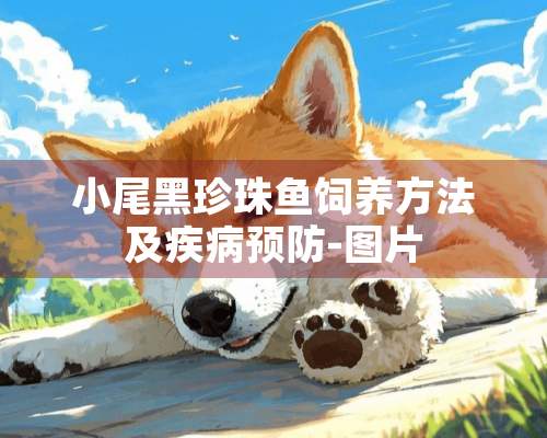 小尾黑珍珠鱼饲养方法及疾病预防-图片