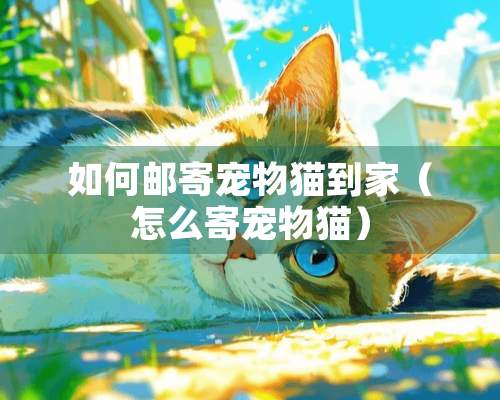 如何邮寄宠物猫到家（怎么寄宠物猫）