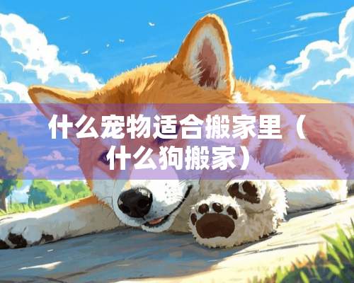 什么宠物适合搬家里（什么狗搬家）