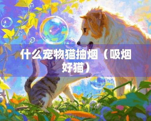 什么宠物猫抽烟（吸烟好猫）