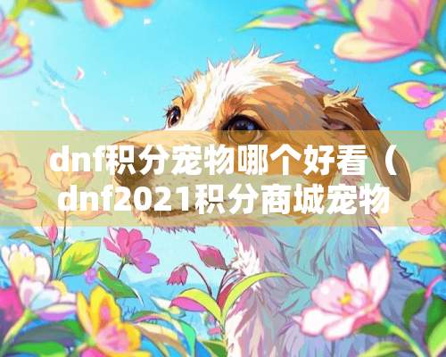 dnf积分宠物哪个好看（dnf2021积分商城宠物属性）