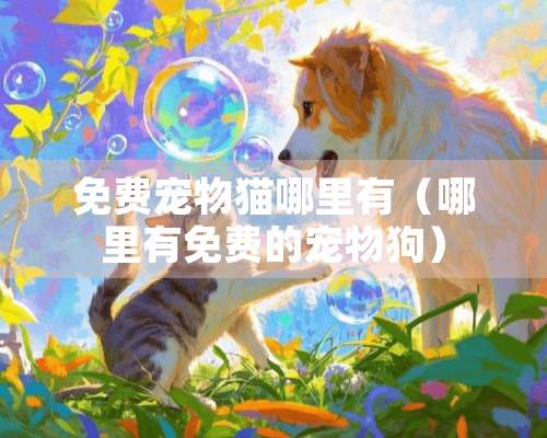 免费宠物猫哪里有（哪里有免费的宠物狗）