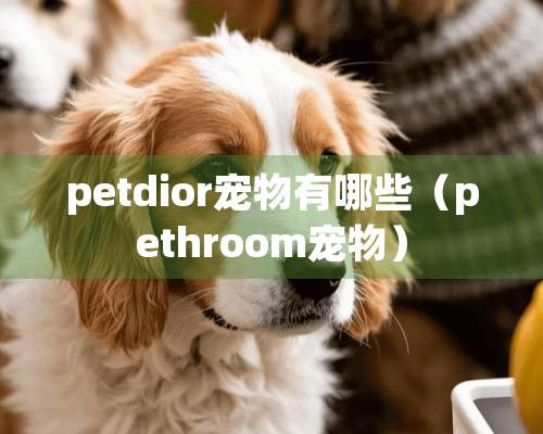 petdior宠物有哪些（pethroom宠物）