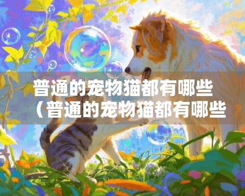 普通的宠物猫都有哪些（普通的宠物猫都有哪些种类）