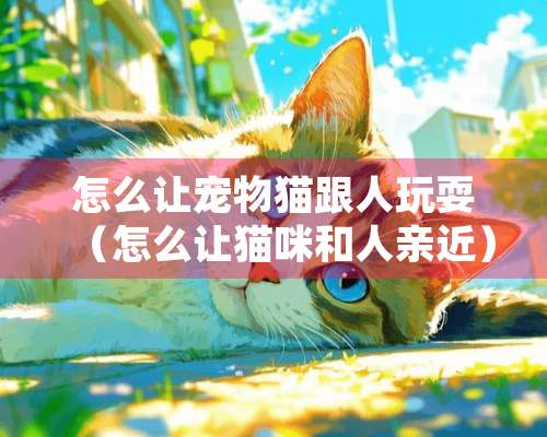 怎么让宠物猫跟人玩耍（怎么让猫咪和人亲近）