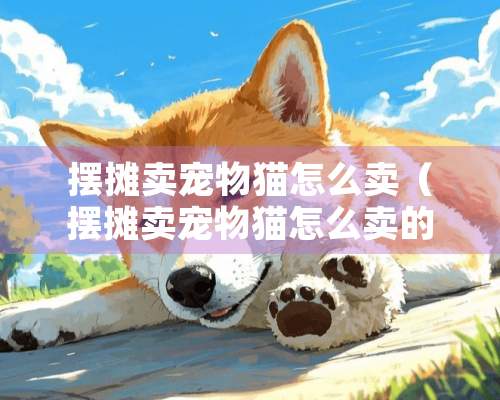 摆摊卖宠物猫怎么卖（摆摊卖宠物猫怎么卖的）