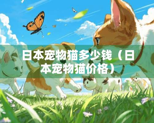 日本宠物猫多少钱（日本宠物猫价格）