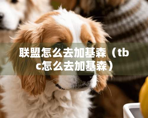 联盟怎么去加基森（tbc怎么去加基森）