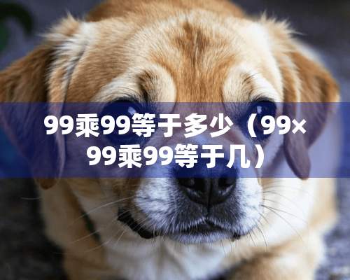 99乘99等于多少（99×99乘99等于几）