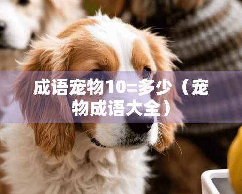 成语宠物10=多少（宠物成语大全）