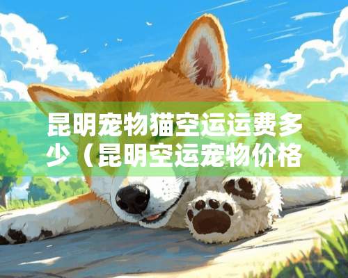 昆明宠物猫空运运费多少（昆明空运宠物价格表）