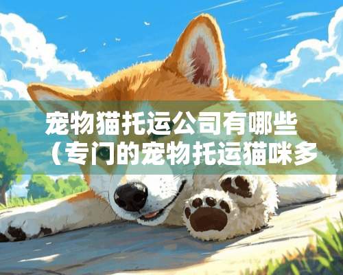 宠物猫托运公司有哪些（专门的宠物托运猫咪多少钱）