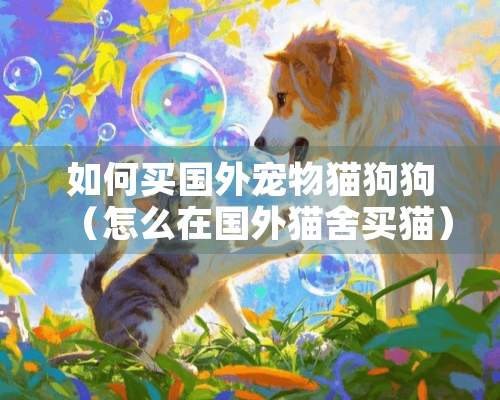 如何买国外宠物猫狗狗（怎么在国外猫舍买猫）