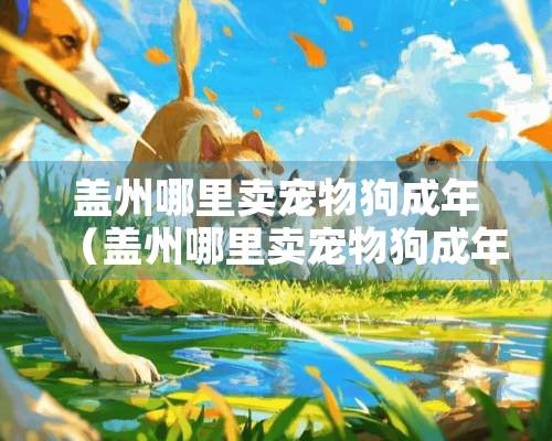 盖州哪里卖宠物狗成年（盖州哪里卖宠物狗成年犬）