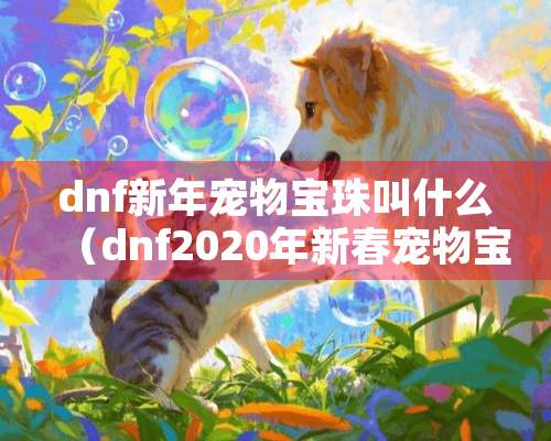 dnf新年宠物宝珠叫什么（dnf2020年新春宠物宝珠叫什么）