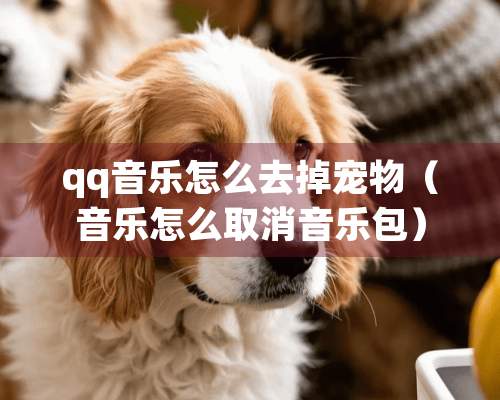 qq音乐怎么去掉宠物（音乐怎么取消音乐包）