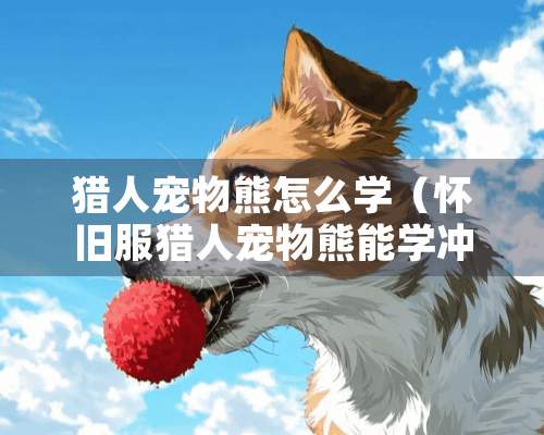 猎人宠物熊怎么学（**服猎人宠物熊能学冲锋吗）