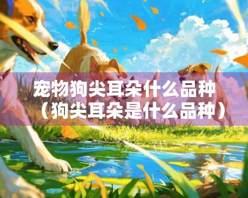 宠物狗尖耳朵什么品种（狗尖耳朵是什么品种）