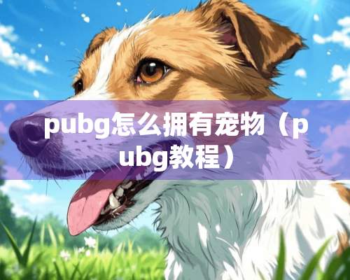 pubg怎么拥有宠物（pubg教程）