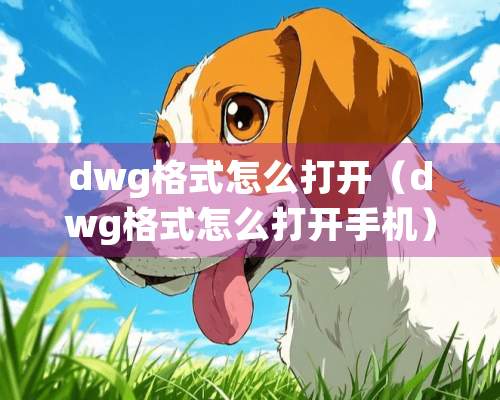 dwg格式怎么打开（dwg格式怎么打开手机）