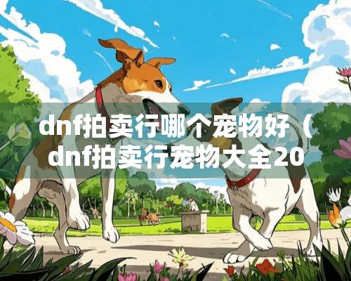 dnf拍卖行哪个宠物好（dnf拍卖行宠物大全2020）