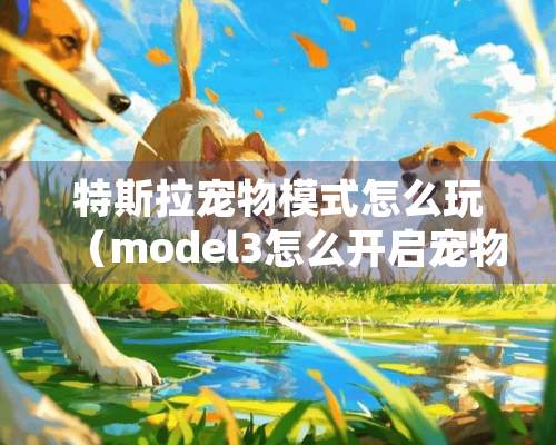 特斯拉宠物模式怎么玩（model3怎么开启宠物模式）