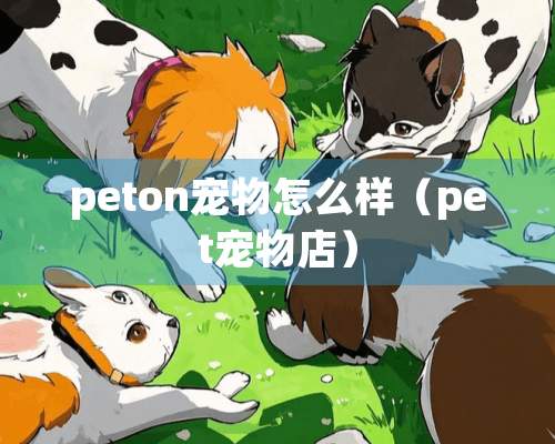 peton宠物怎么样（pet宠物店）