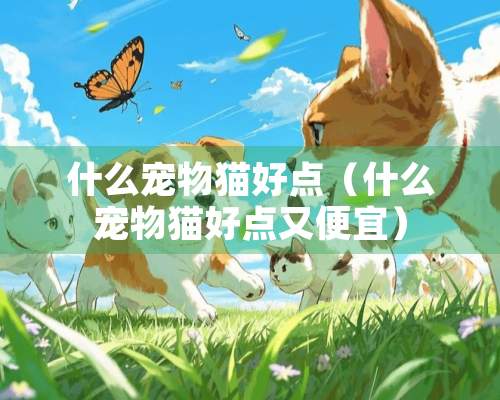 什么宠物猫好点（什么宠物猫好点又便宜）