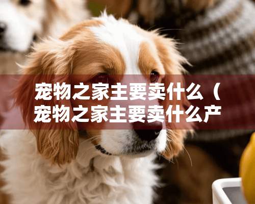 宠物之家主要卖什么（宠物之家主要卖什么产品）