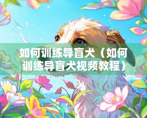 如何训练导盲犬（如何训练导盲犬视频教程）