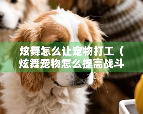 炫舞怎么让宠物打工（炫舞宠物怎么提高战斗力）